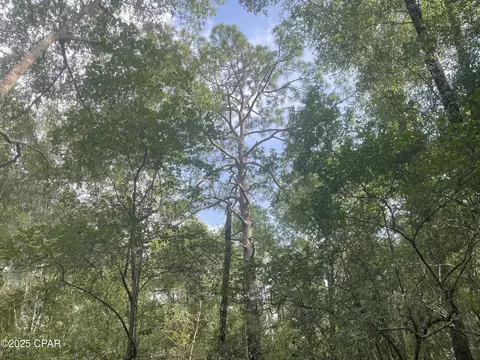 0000 W Highway 90 W, Baker, FL 32531 photo 10