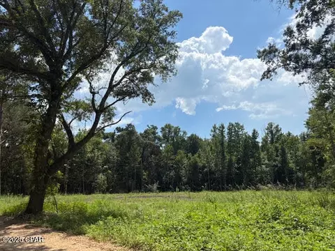 0 Bonnet Pond Rd, Cottondale, FL 32431