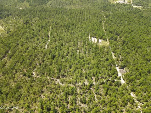 00 NW Martin Sewell, Altha, FL 32421 photo 18