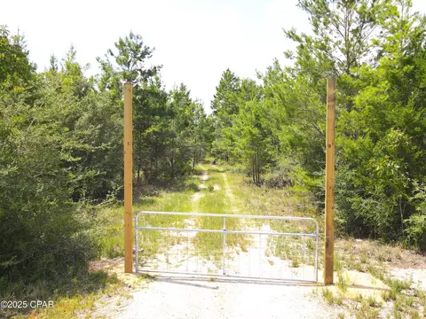 00 NW Martin Sewell, Altha, FL 32421 photo 5