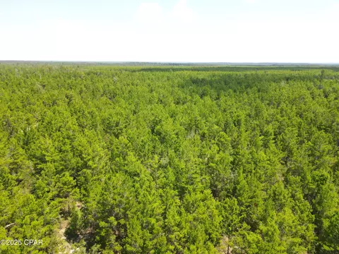 00 NW Martin Sewell, Altha, FL 32421 photo 29