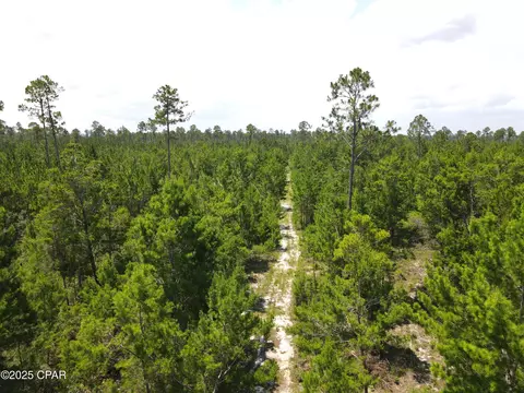 00 NW Martin Sewell, Altha, FL 32421 photo 28