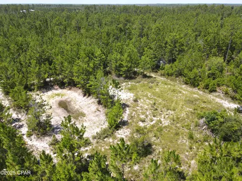 00 NW Martin Sewell, Altha, FL 32421 photo 10