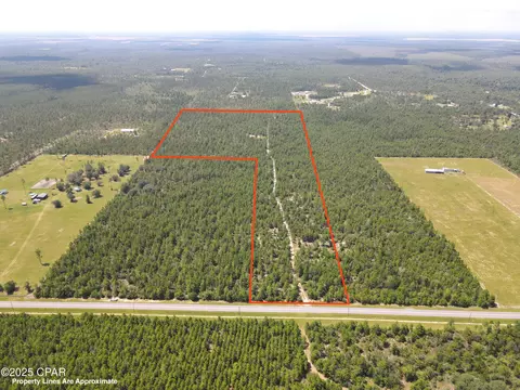 00 NW Martin Sewell, Altha, FL 32421 photo 3