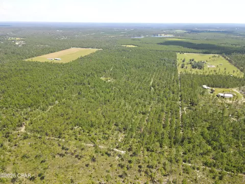 00 NW Martin Sewell, Altha, FL 32421 photo 12