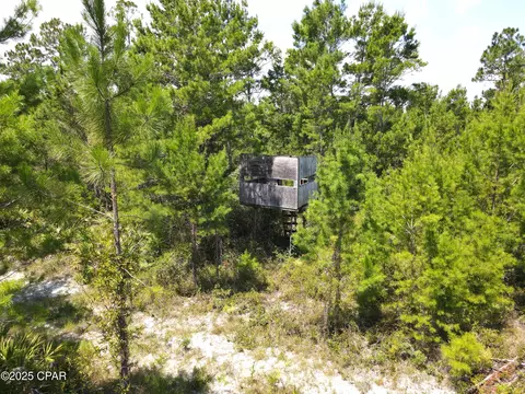00 NW Martin Sewell, Altha, FL 32421 photo 21