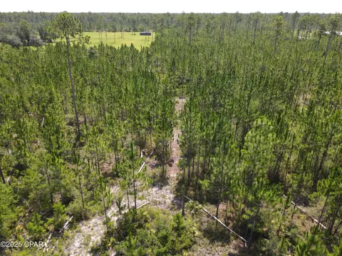 00 NW Martin Sewell, Altha, FL 32421 photo 15