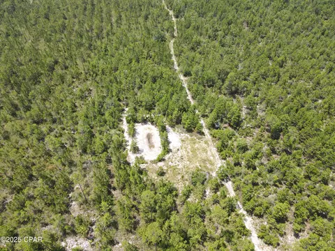 00 NW Martin Sewell, Altha, FL 32421 photo 19