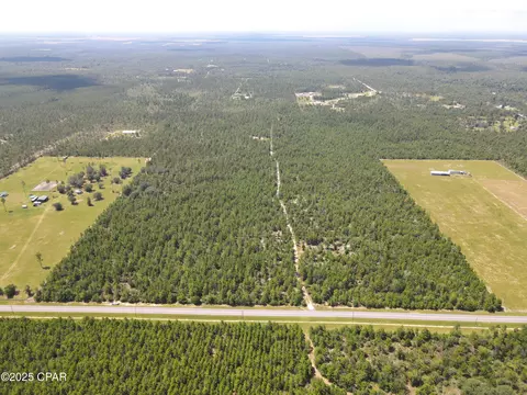 00 NW Martin Sewell, Altha, FL 32421 photo 11