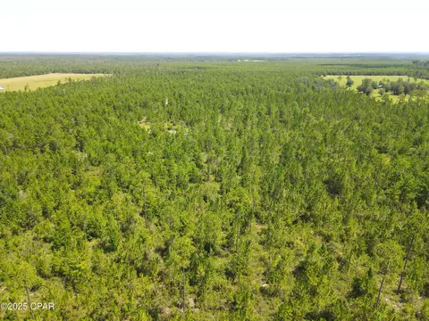 00 NW Martin Sewell, Altha, FL 32421 photo 16