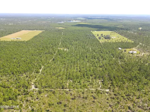 00 NW Martin Sewell, Altha, FL 32421 photo 14