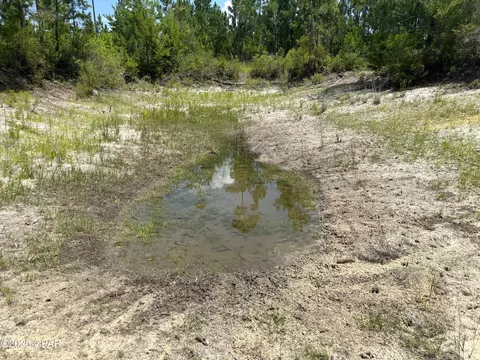 00 NW Martin Sewell, Altha, FL 32421 photo 22
