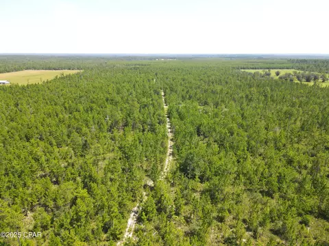 00 NW Martin Sewell, Altha, FL 32421 photo 17