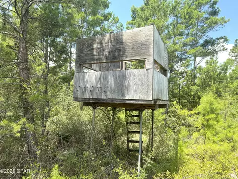 00 NW Martin Sewell, Altha, FL 32421 photo 9