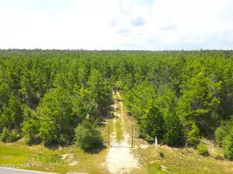 00 NW Martin Sewell, Altha, FL 32421 photo 4