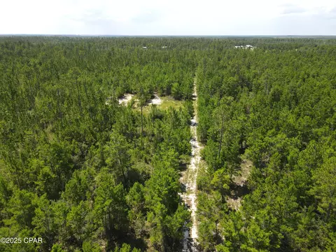 00 NW Martin Sewell, Altha, FL 32421 photo 27