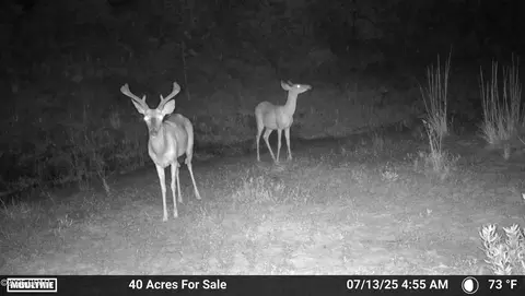 00 NW Martin Sewell, Altha, FL 32421 photo 7