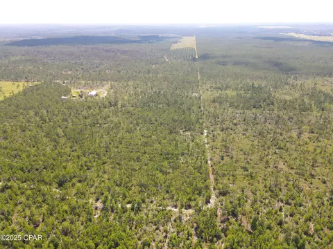 00 NW Martin Sewell, Altha, FL 32421 photo 13