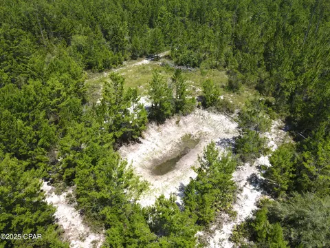 00 NW Martin Sewell, Altha, FL 32421 photo 20