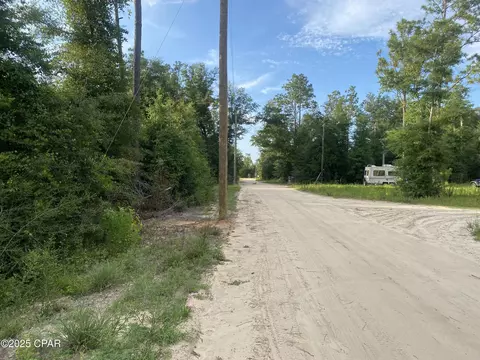 0 NW Tindal Dr, Altha, FL 32421 photo 3