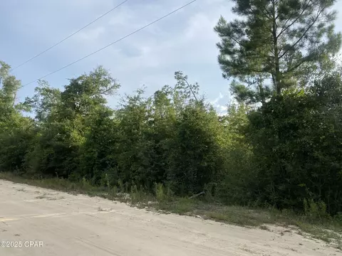 0 NW Tindal Dr, Altha, FL 32421 photo 6