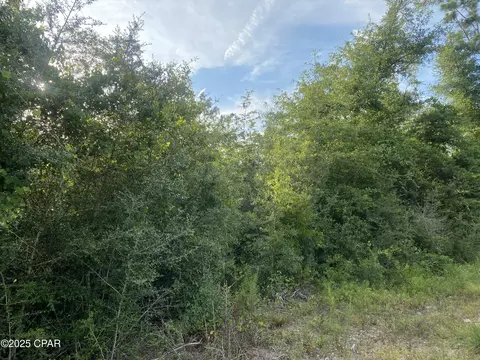 0 NW Tindal Dr, Altha, FL 32421 photo 5