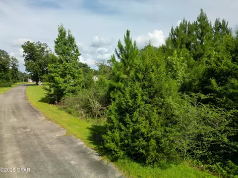 Other - lot1 Shepp Dr, Chipley, FL 32428 photo 1 of 2