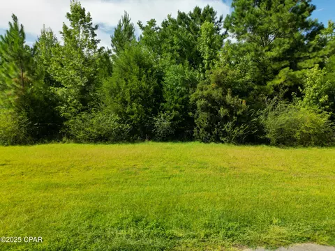 Other - lot7 Shepp Dr, Chipley, FL 32428 photo 1 of 2