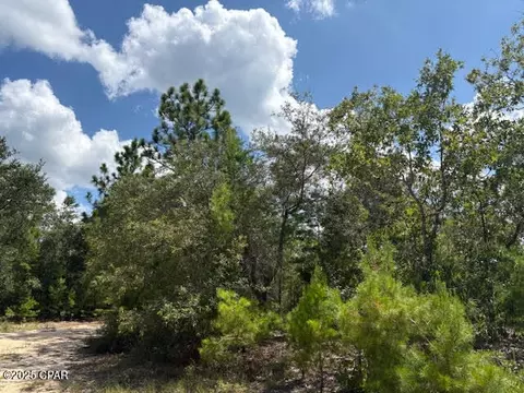 0 Pinellas Dr, Chipley, FL 32428 photo 3