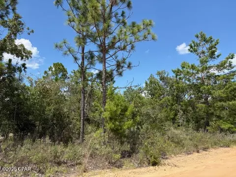 0 Pinellas Dr, Chipley, FL 32428 photo 7