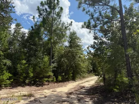 0 Pinellas Dr, Chipley, FL 32428 photo 5