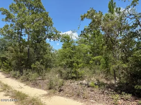 0 Pinellas Dr, Chipley, FL 32428 photo 8