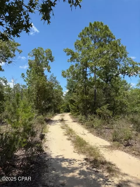 0 Pinellas Dr, Chipley, FL 32428 photo 9