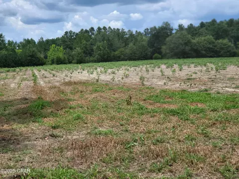 000 Joiner Rd, Chipley, FL 32428 photo 4