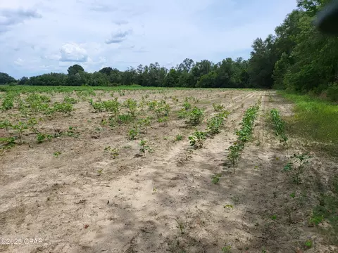 000 Joiner Rd, Chipley, FL 32428 photo 5