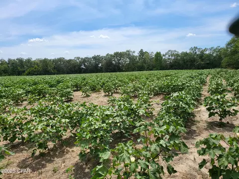 000 Joiner Rd, Chipley, FL 32428 photo 6