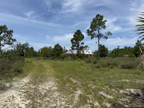 19660 NW Alice Vreeland Rd, Altha, FL 32421
