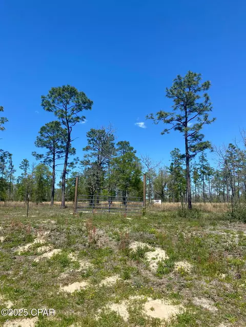 12601 E Highway 20, Fountain, FL 32438