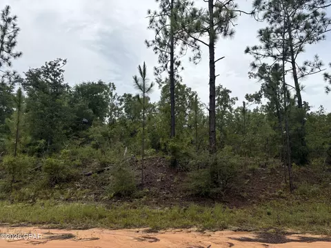 lot29 Odum St, Alford, FL 32420