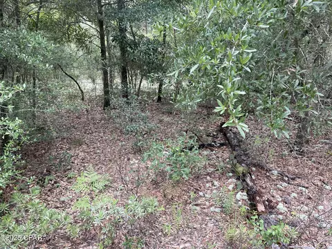 lot37 Girard Ct, Alford, FL 32420