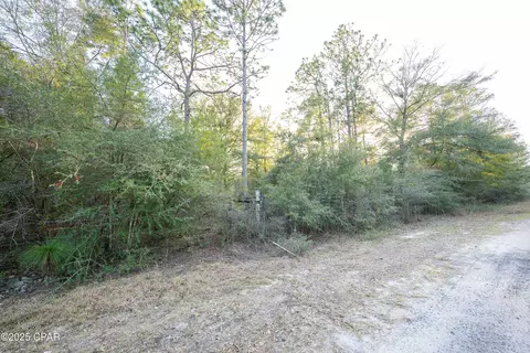 0 Derby Dr, Chipley, FL 32428 photo 24