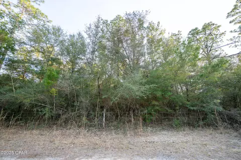 0 Derby Dr, Chipley, FL 32428 photo 27