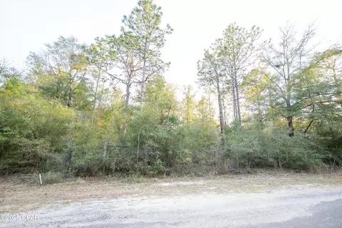 0 Derby Dr, Chipley, FL 32428 photo 26