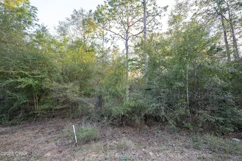 0 Derby Dr, Chipley, FL 32428 photo 25