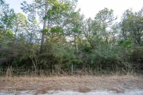 0 Derby Dr, Chipley, FL 32428 photo 29