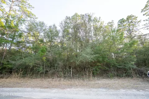 0 Derby Dr, Chipley, FL 32428 photo 28