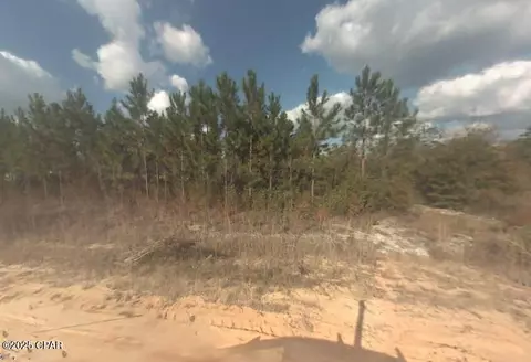 12125 Pine Ridge Rd, Fountain, FL 32438