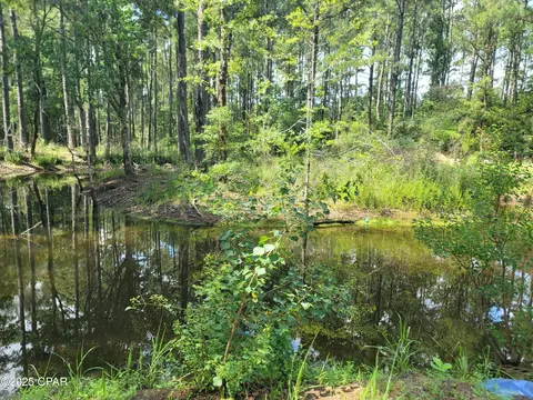 3783 Skipper Rd, Vernon, FL 32462 photo 13