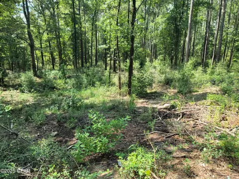3783 Skipper Rd, Vernon, FL 32462 photo 10