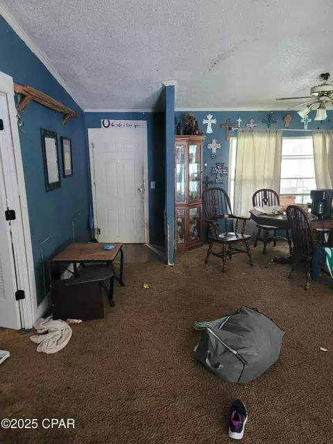 3783 Skipper Rd, Vernon, FL 32462 photo 20